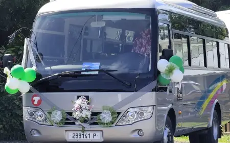 VIP Tour Landscape 4