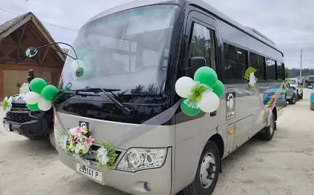 VIP Tour Landscape 2