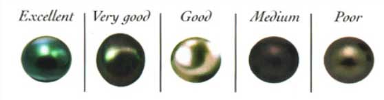 arc-en-ciel-bora-bora-choosing-your-pearl-lustre