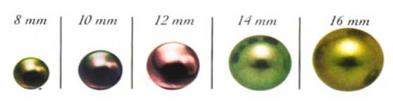 arc-en-ciel-bora-bora-choosing-your-pearl-size