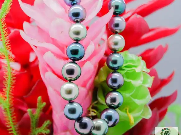 colliers-perles-arc-en-ciel-bijouterie-bora-bora-boutique-magasin